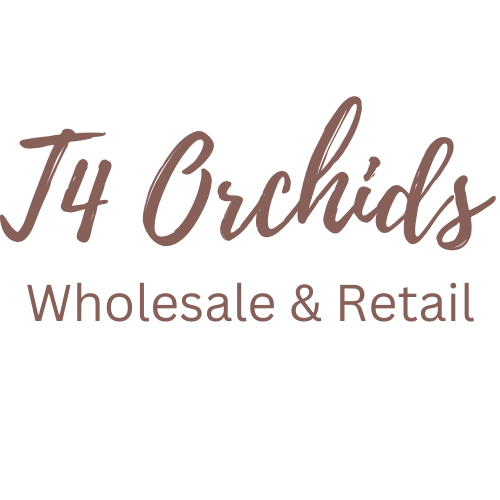 T4 Orchids