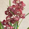Cymbidium Khan Fury ’Dark and Pointy’ - Image 8