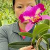 Rlc. Mari’s Song x Rlc. Elegant Danger - Image 3