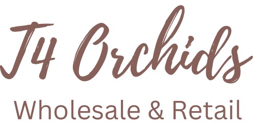 T4 Orchids